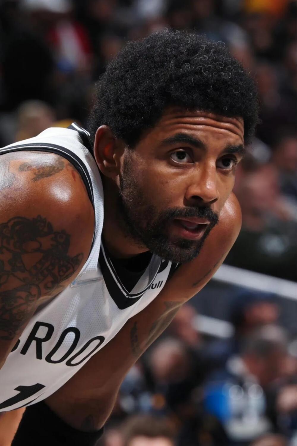 美后依然鞭 美后依然鞭