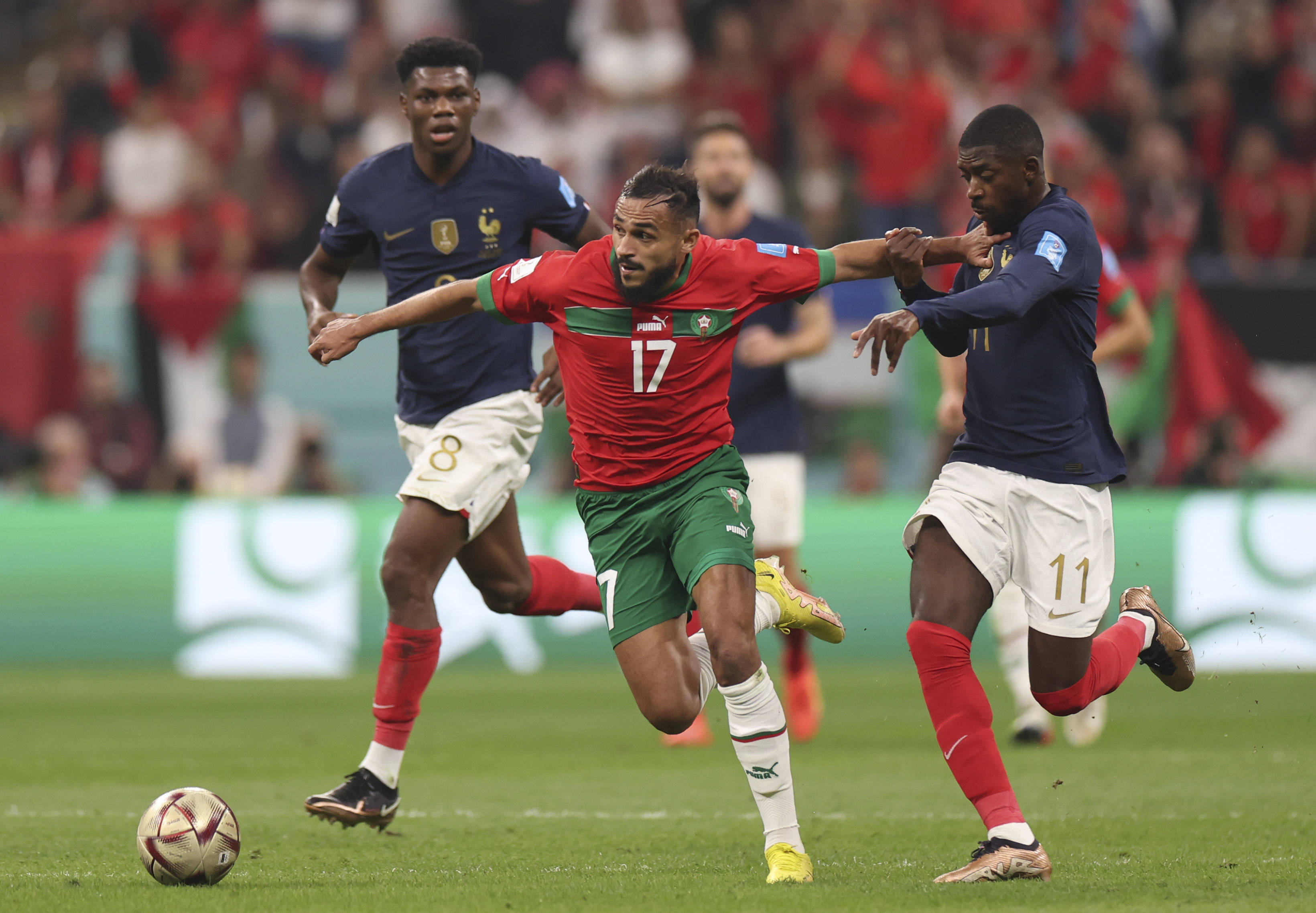 极大地提高 极大地提高