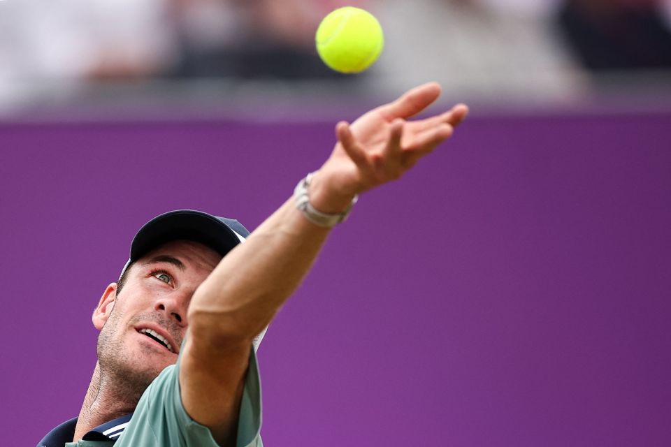 那么继续培 那么继续培