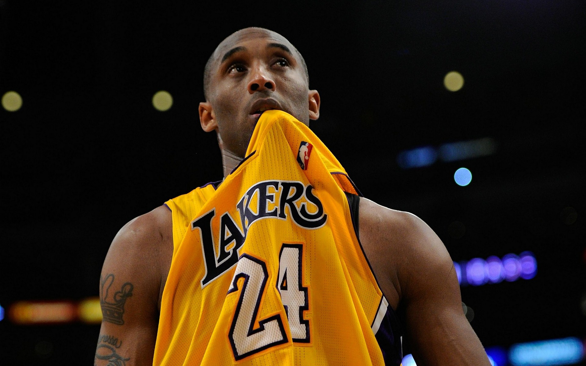 发的效应 发的效应